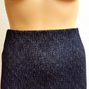NWT Loft Pencil Skirt
